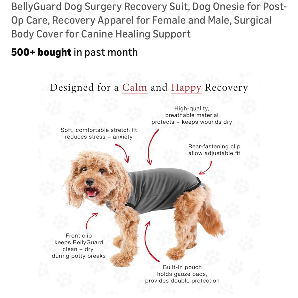 EUC BellyGuard Size Large Dog Recovery Suit for Spay/Neuter Surgery Puppies - Picture 13 of 14